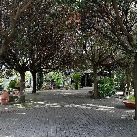 格鲁塔佛力塔Borgo De' Paolis公寓 外观 照片