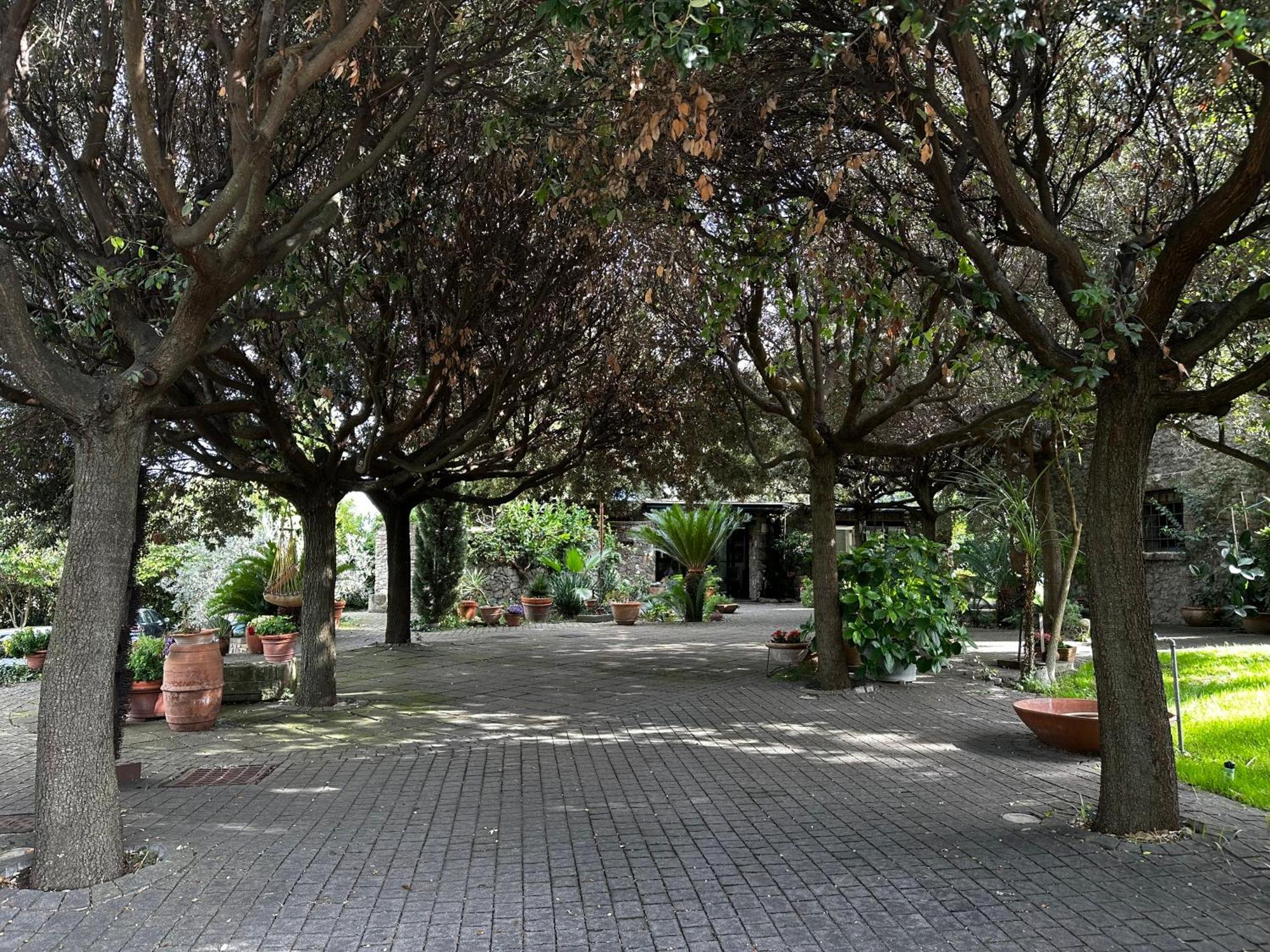 格鲁塔佛力塔Borgo De' Paolis公寓 外观 照片